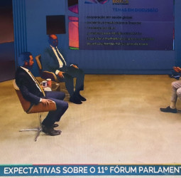 BRICS: Luiz Carlos Hauly e Fausto Pinato debatem o papel do Fórum Parlamentar