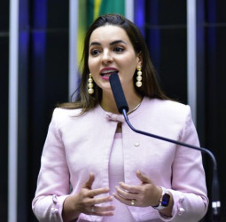 Comissão aprova plano para combater doenças transmitidas por mosquitos e carrapatos