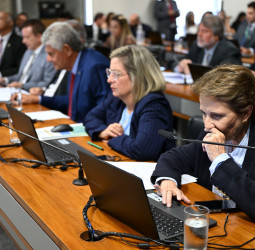 Acordo Mercosul–UE: apesar de fortalecer a integração regional, salvaguardas limitam o crescimento de setores estratégicos